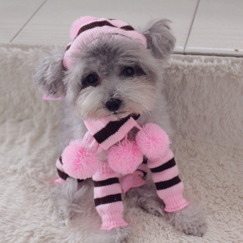 レインボーストライプニット犬用冬服セット 暖かい帽子、スカー - Winter Clothing Leg Warmers のレビューと価格