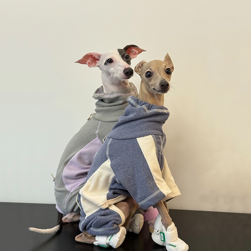 秋と冬用の犬服 スポーティな四本足ベースレイヤー 犬用ワンジ - Winter Clothing Leg Warmers のレビューと価格